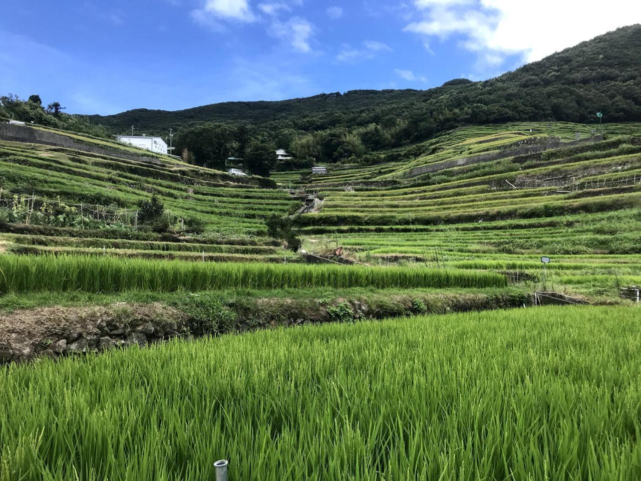 Engawa *